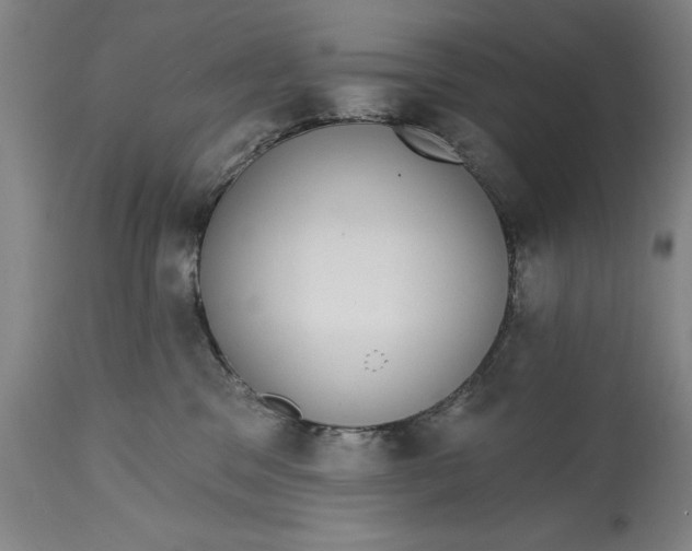 X0000115090329200911171223