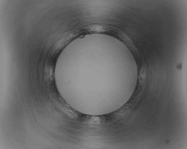 X0000115090330200911171223