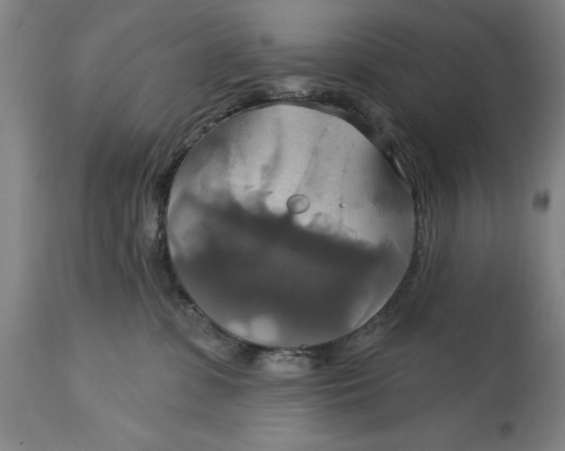 X0000115090331200911171223