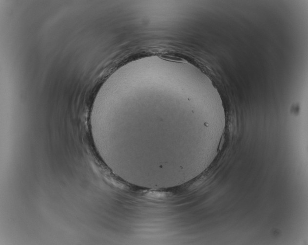 X0000115090332200911171223