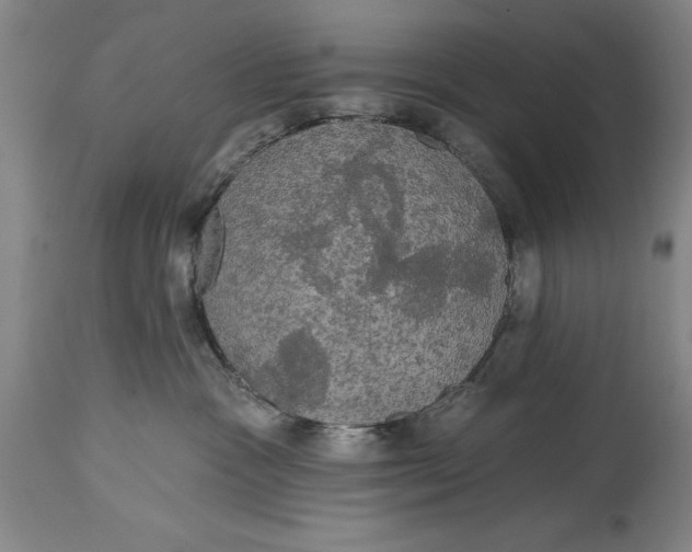 X0000115090333200911171223