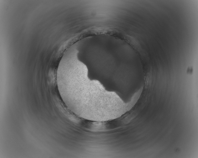 X0000115090335200911171223