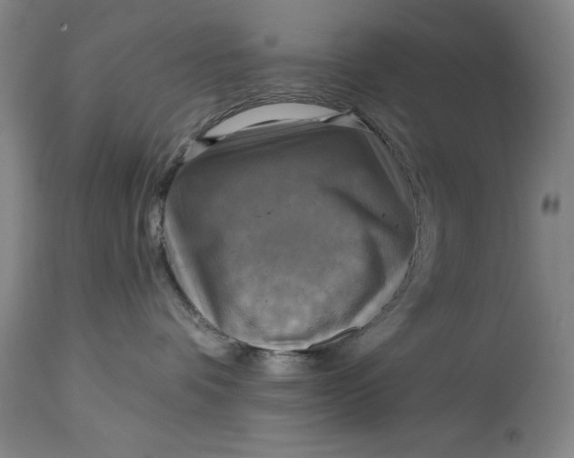 X0000115090336200911171223