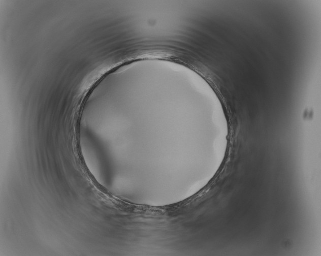 X0000115090337200911171222