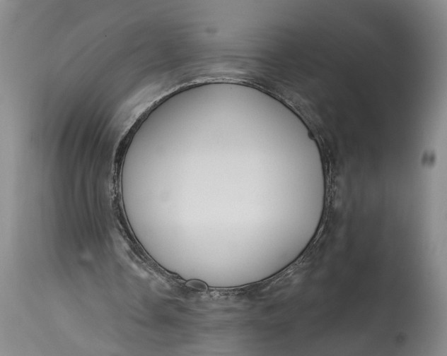 X0000115090338200911171222