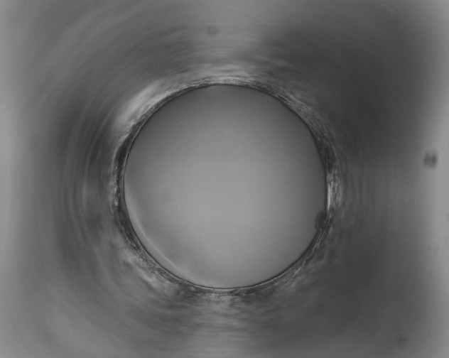 X0000115090339200911171222