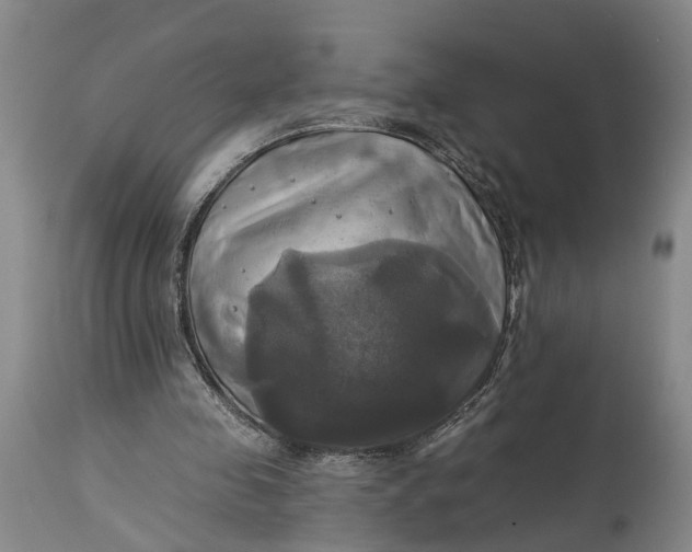 X0000115090341200911171222