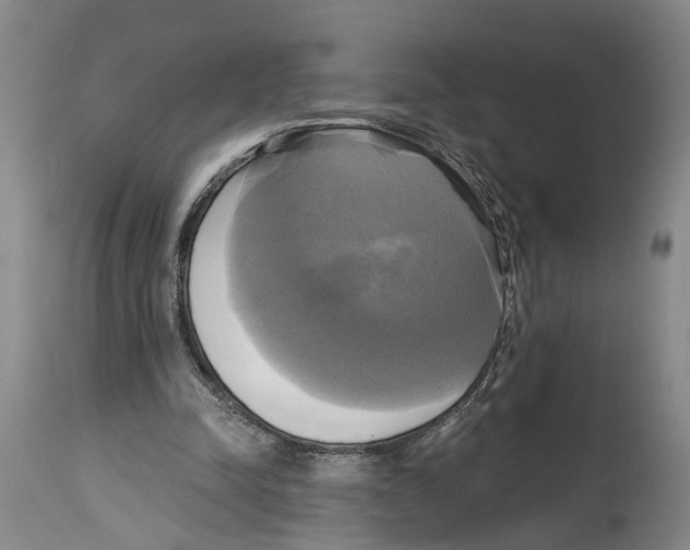 X0000115090342200911171222