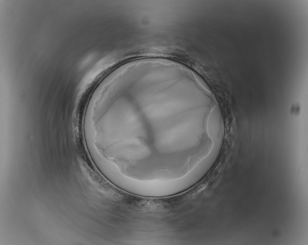 X0000115090343200911171222