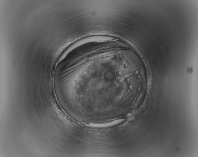 X0000115090345200911171222