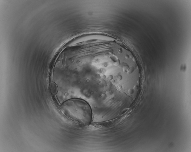 X0000115090346200911171222