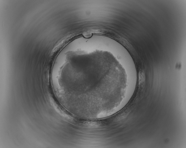 X0000115090349200911171222