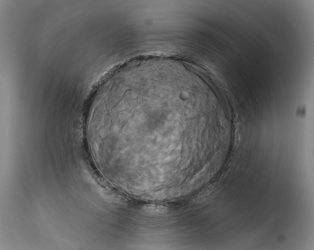 X0000115090354200911171222