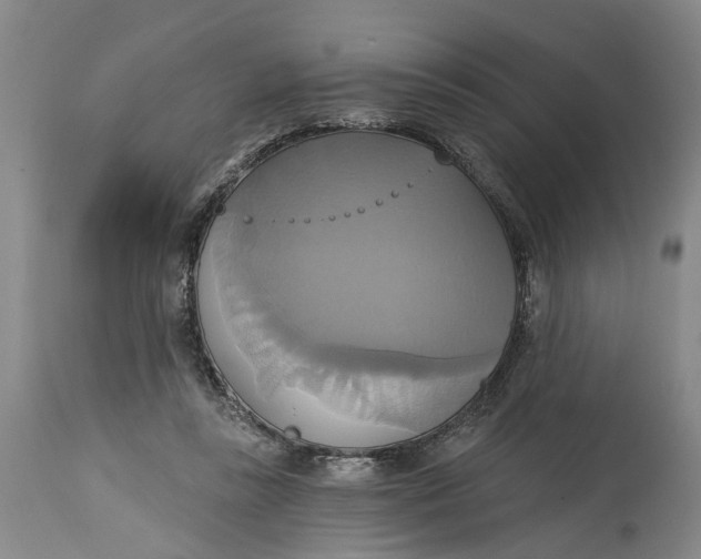 X0000115090355200911171222