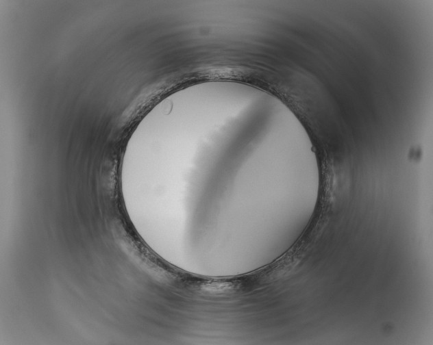 X0000115090357200911171222