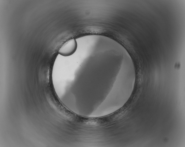 X0000115090358200911171222