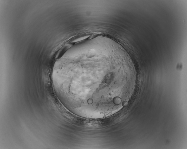 X0000115090359200911171222