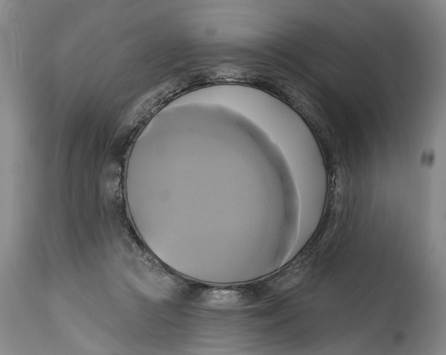 X0000115090361200911171222