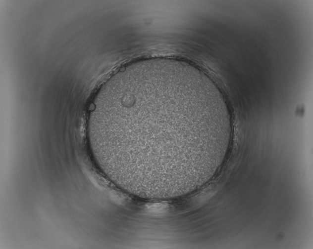 X0000115090362200911171222