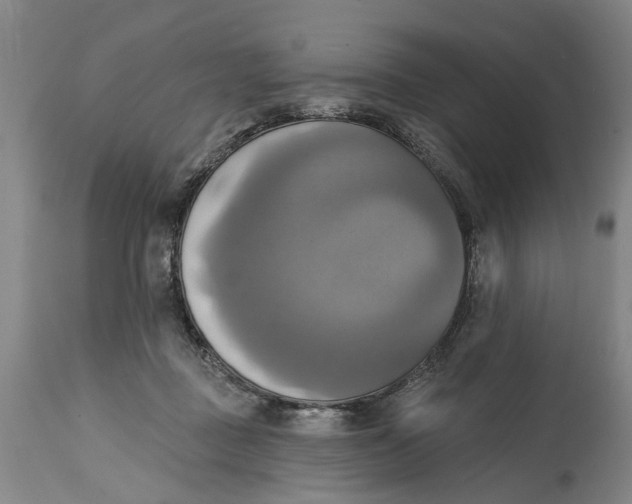 X0000115090363200911171223