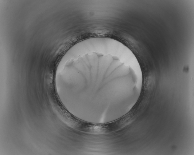 X0000115090365200911171223