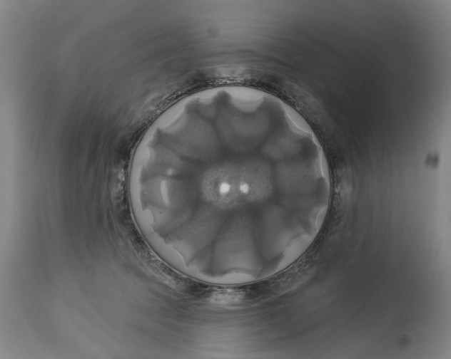 X0000115090369200911171223