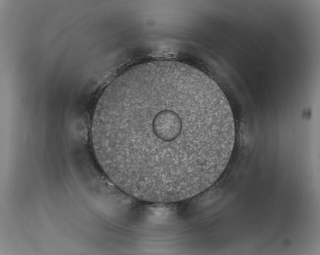 X0000115090370200911171223