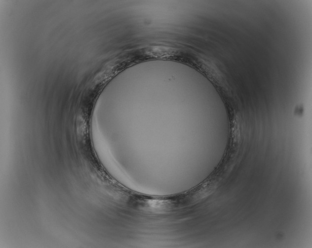 X0000115090371200911171223