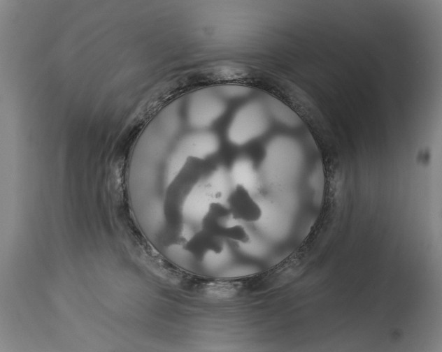 X0000115090373200911171223