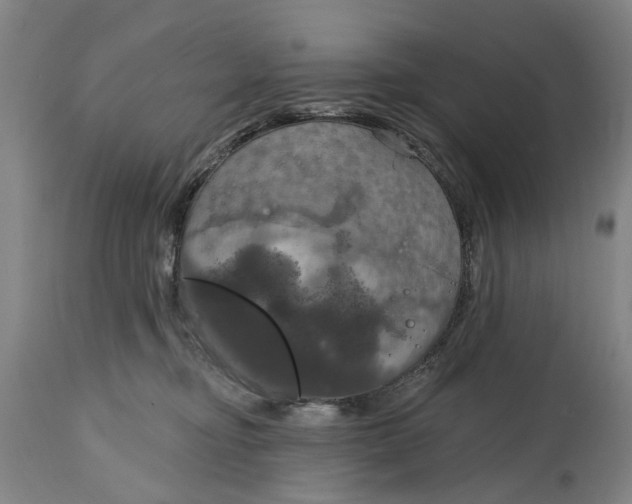 X0000115090374200911171223