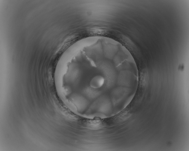 X0000115090377200911171223
