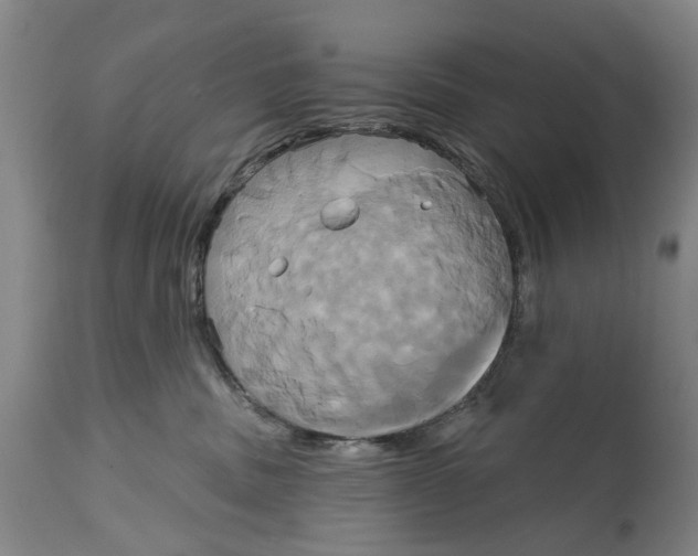 X0000115090379200911171223