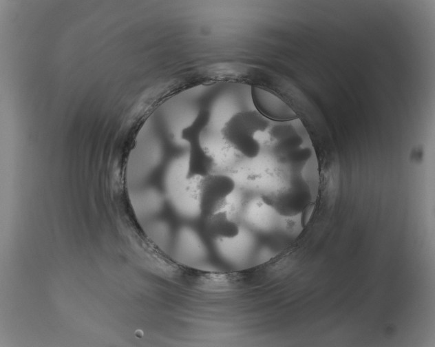 X0000115090381200911171223