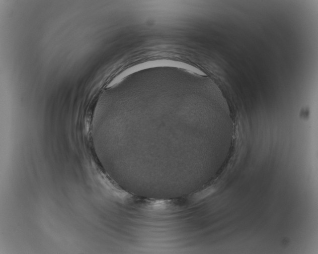 X0000115090382200911171223