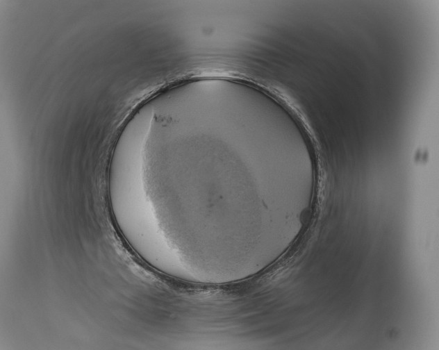 X0000115090385200911171222