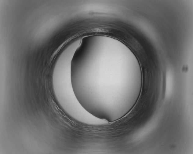 X0000115090387200911171222