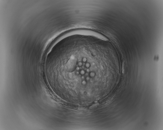X0000115090388200911171222