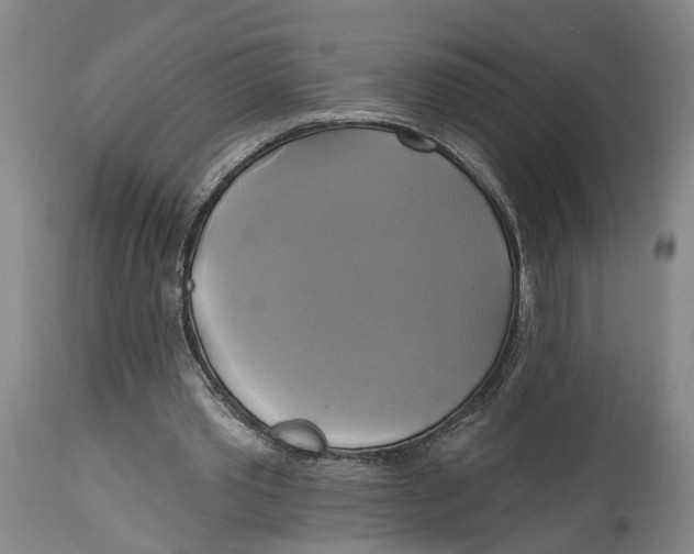 X0000115090389200911171222
