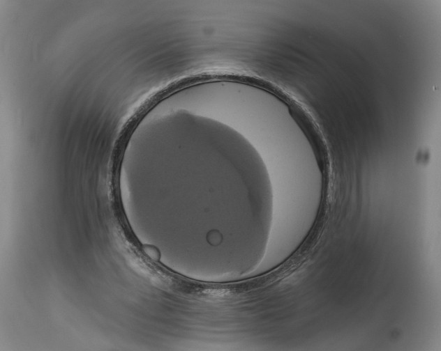 X0000115090391200911171222