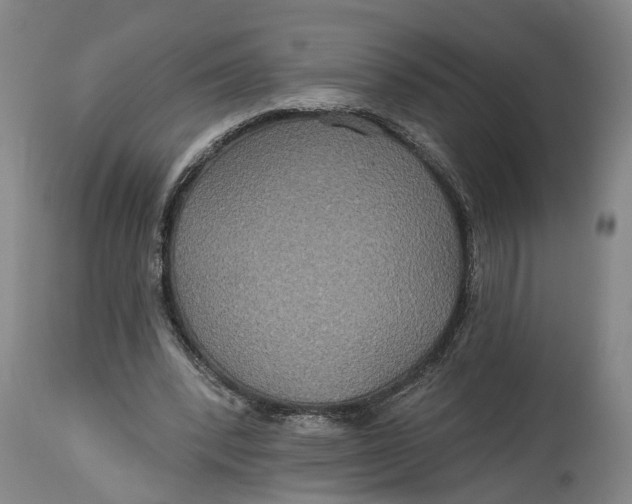 X0000115090392200911171222
