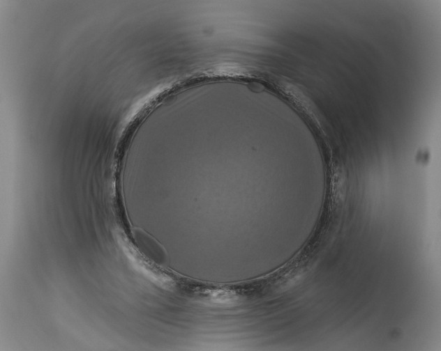 X0000115090395200911171222