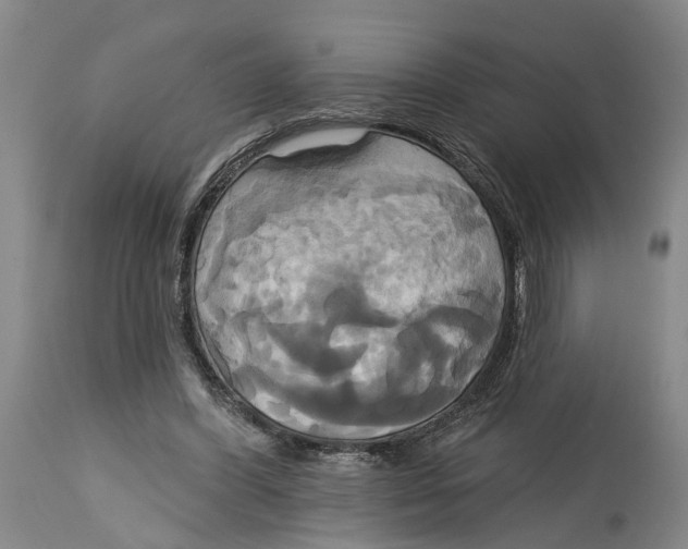 X0000115090396200911171222