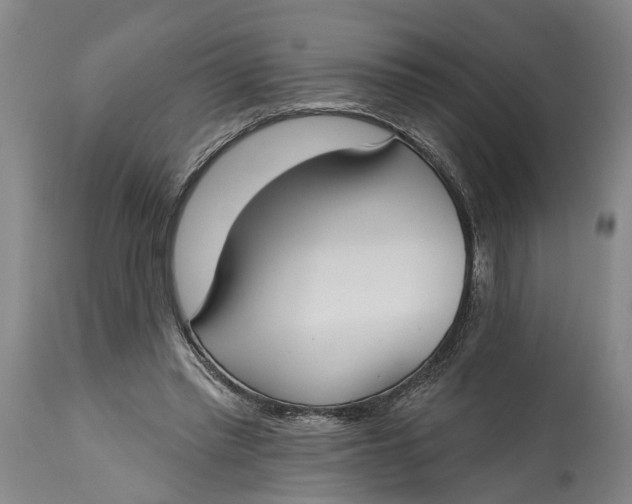 X0000115090397200911171222