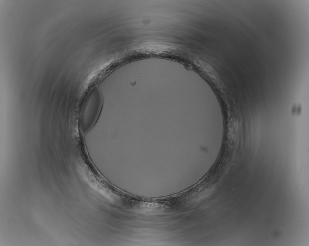 X0000115090399200911171222
