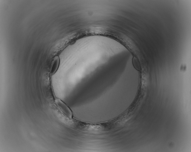 X0000115090401200911171222