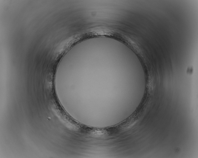 X0000115090402200911171222