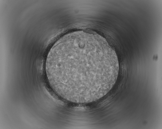 X0000115090404200911171222