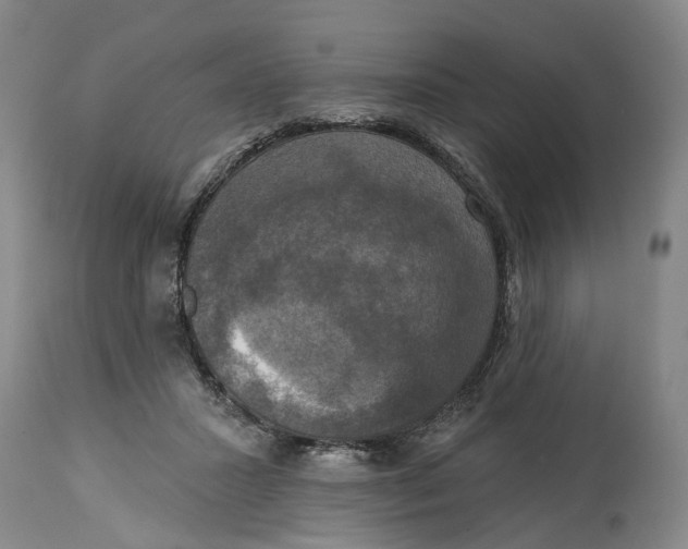 X0000115090407200911171222