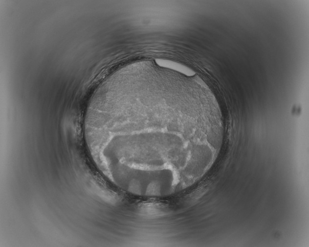 X0000115090408200911171222