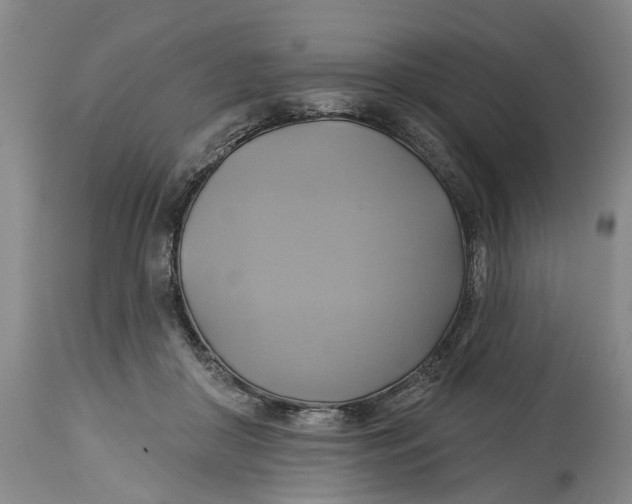 X0000115090410200911171222